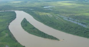 Pantanal, bioma relativamente preservado no Brasil e que merece atenção permanente da sociedade (Foto José Pedro Martins)