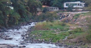 Rio Piracicaba, em agosto de 2014, quase seco: o alerta continua (Foto José Pedro Martins)