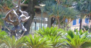 Jardins do MACC e Biblioteca Municipal, um dos espaços que mostram a escolha de Campinas por avanços civilizatórios (Foto José Pedro Martins)