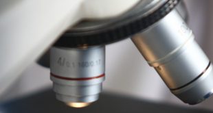 Questão envolvendo transgênicos é polêmica e deve ser tratada com muita ponderação (Foto Adriano Rosa)