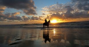 Cacalo_Cavalo e praia 01