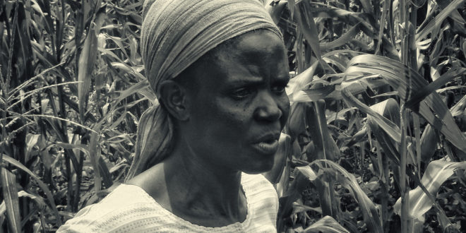 Uma experiência de produção de alimentos na África (Foto André Sarria)