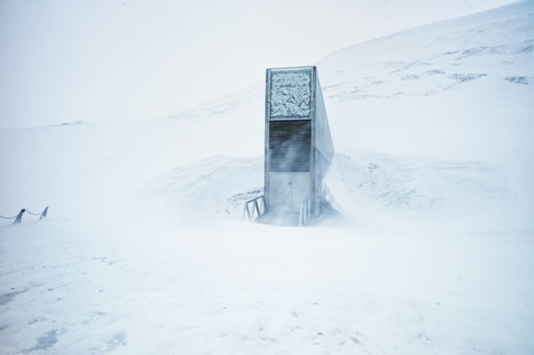 O Cofre Global de Sementes de Svalbard possui uma escultura de luz feita pelo artista norueguês Dyveke Sanne. Composta por triângulos de aço reflexivel, espelhos, prismas e luzes de fibra óptica, a arte permite que o cofre seja visto de perto ou de longe em diferentes momentos do dia e do ano. Para o artista, a instalação representa a diversidade e a vida dentro do cofre, refletindo-a no mundo. (Fotos https://www.seedvault.no)
