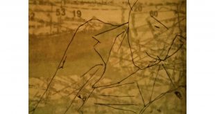 palavra desgarrada de seu território_destacada_Jaqueline Fernandes