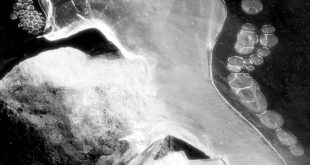 Crédito: Kasia/creativecommons.org