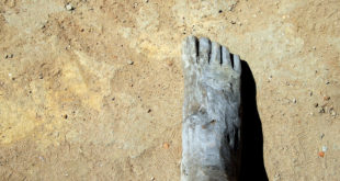 Guilherme Jofili/ creativecommons.org