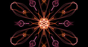 Crédito: Renee of the Future/creativecommons.org