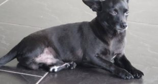 O grande John (Foto André Sarria / Arquivo Pessoal)