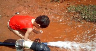 Meu sobrinho Gabriel, criado como deve ser (Foto André Sarria)