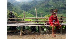 André Sarria_Public_Domain_stardust19855_1200