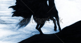 Crédito Jay Mantri (Shutterstock)