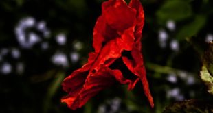 (Foto Arquivo Pessoal)